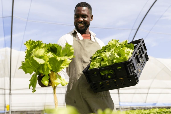 Farmer with vegetables